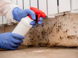 Best HVAC Mold Inspection and Cleaning  in Lyons, GA